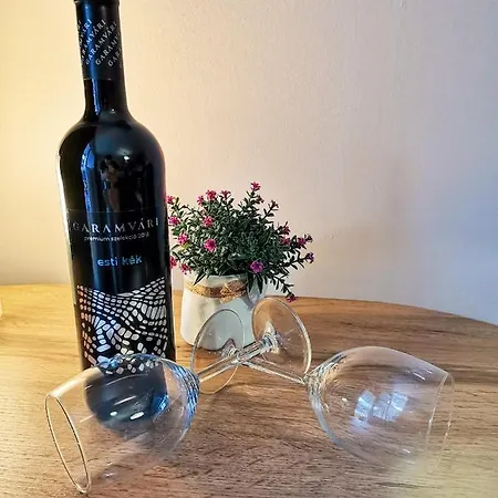 Appartamento Martin Apartman Szigetvár